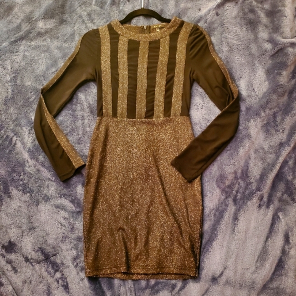 Sparkle & Sheer Long Sleeve Mini Dress